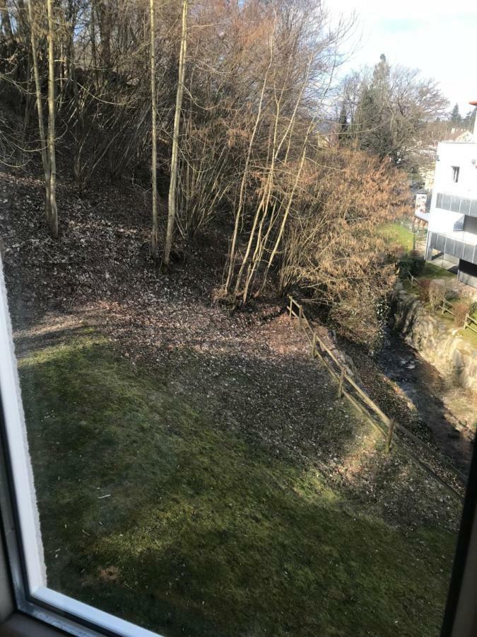 Gaestezimmer Am Oos Bach Baden-Baden Dış mekan fotoğraf